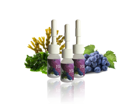 Ylla, antioxidante ultra-rea_rmante