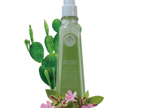 ATZIN